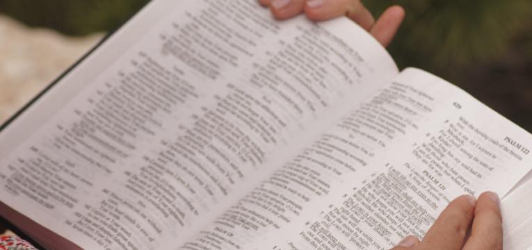 El Salmo 91 El Salmo 91