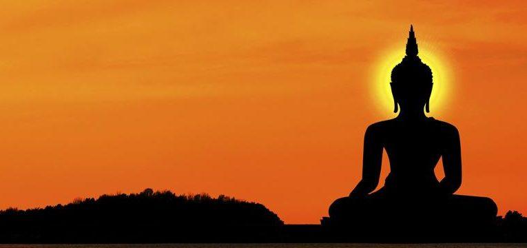 tara verde tara verde