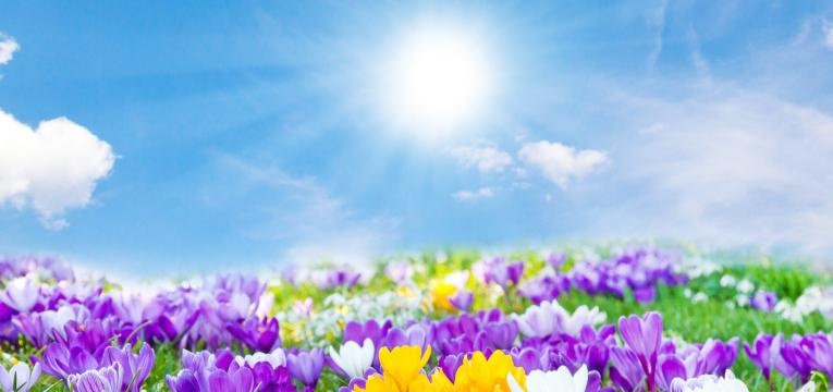 temáticas astrológicas temáticas astrológicas