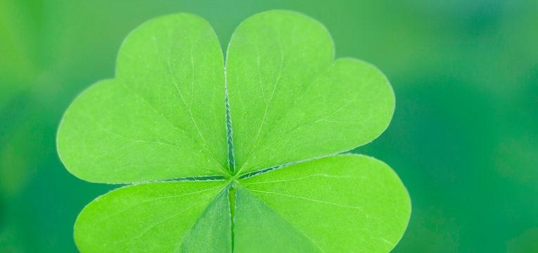 trébol de 4 hojas trébol de cuatro hojas