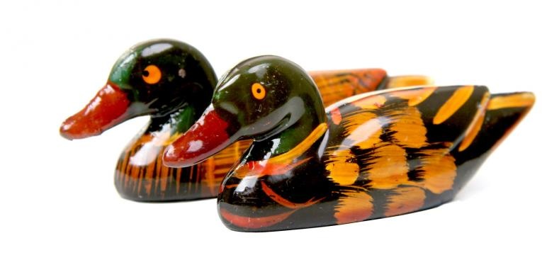 Uso de los Patos Mandarines en el Feng Shui