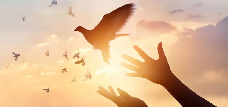 Utilidad del salmo 74