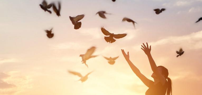 Los pájaros: pieza clave en la cultura persa Los pájaros: pieza clave en la cultura persa y en el horóscopo persa