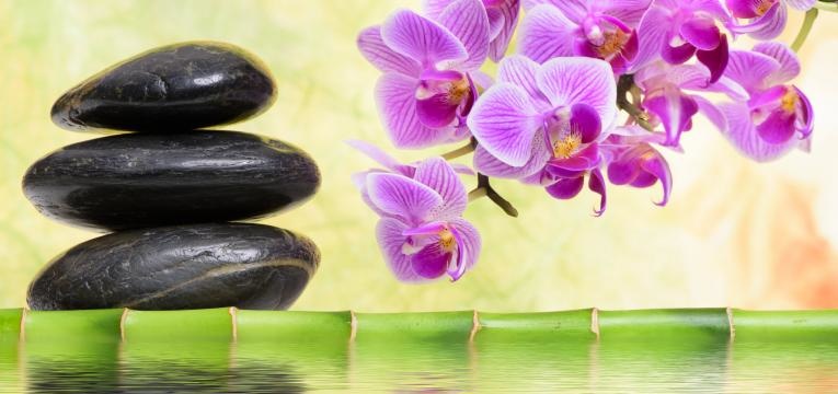 shar chi y sheng chi shar chi y sheng chi