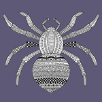 Tótem - Animal Interior - Araña